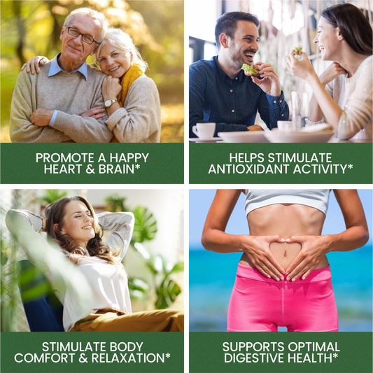 Cinnamon Capsules 1200mg, Made With Organic Ceylon